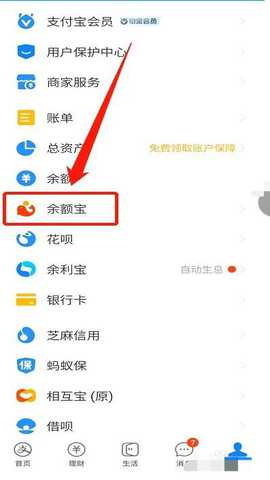 余额宝 10.8.26.8000 安卓版