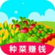 幸运农场种菜 1.0.0 安卓版