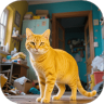 完美喵星人 1.0.1 安卓版